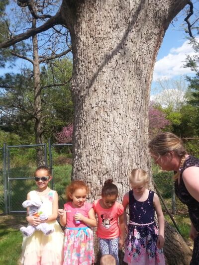 Franconia Park - Springfield, VA