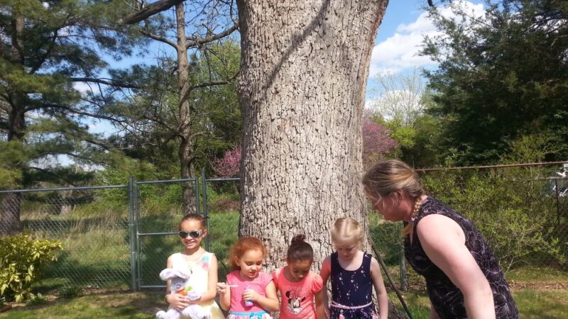 Franconia Park - Springfield, VA