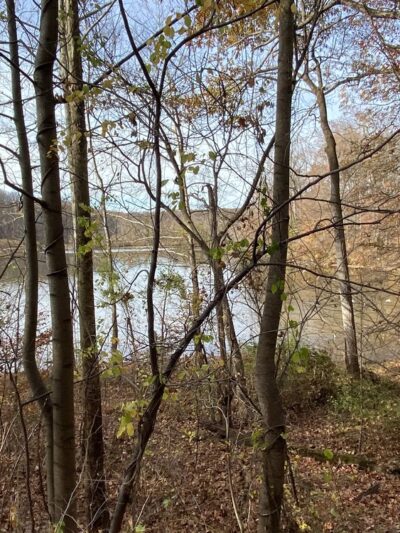 Lake Accotink - Heming Avenue Parking Lot - Springfield, VA