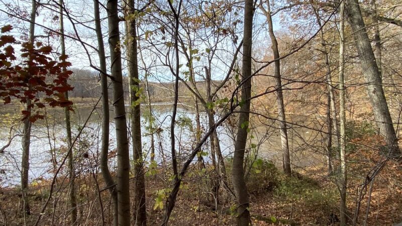 Lake Accotink - Heming Avenue Parking Lot - Springfield, VA