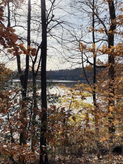 Lake Accotink - Heming Avenue Parking Lot - Springfield, VA