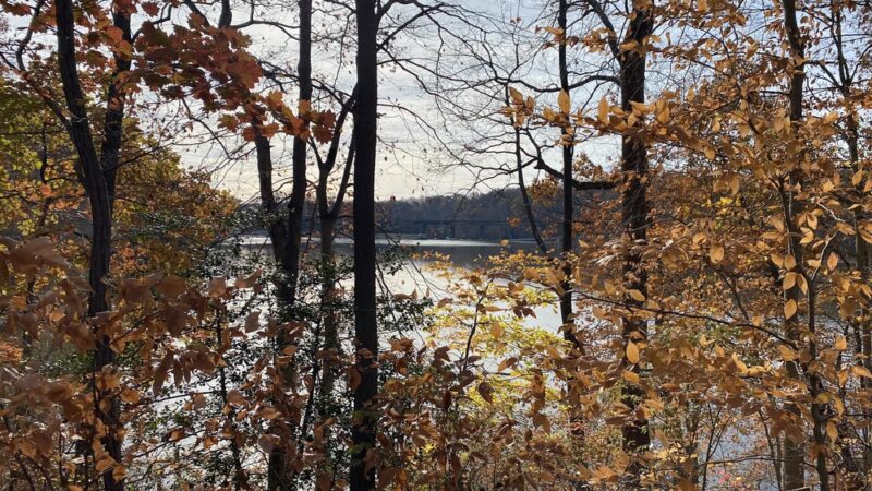 Lake Accotink - Heming Avenue Parking Lot - Springfield, VA