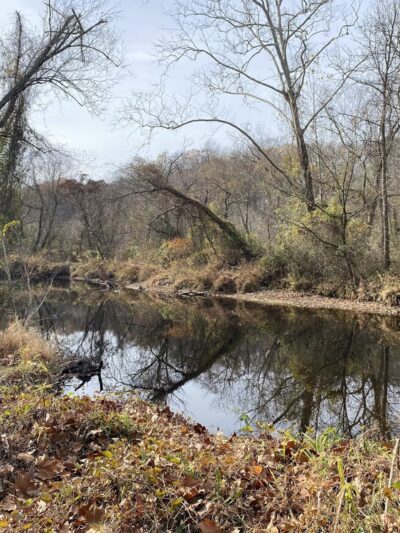 Lake Accotink - Heming Avenue Parking Lot - Springfield, VA