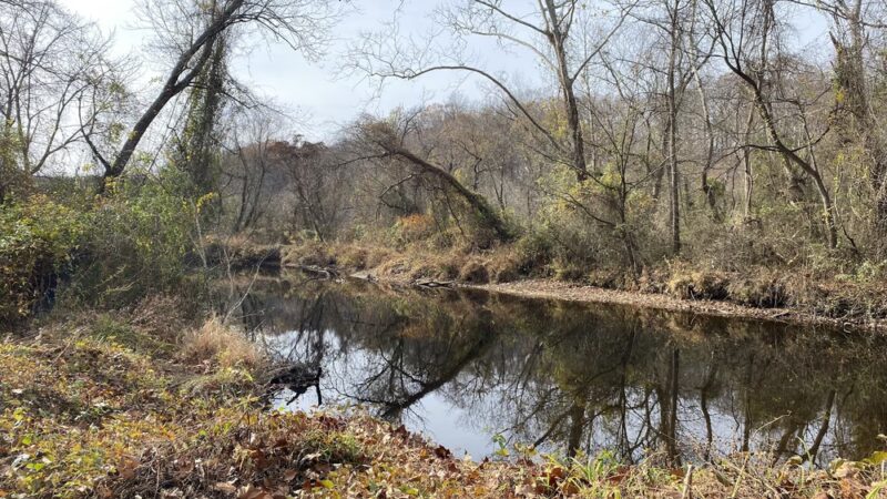 Lake Accotink - Heming Avenue Parking Lot - Springfield, VA