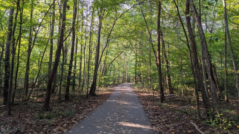 Lake Accotink Park - Springfield, VA