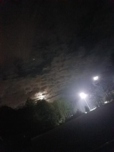 Loisdale Park - Springfield, VA