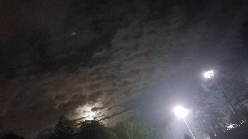 Loisdale Park - Springfield, VA