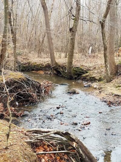 Middle Run Stream Valley Park - Springfield, VA