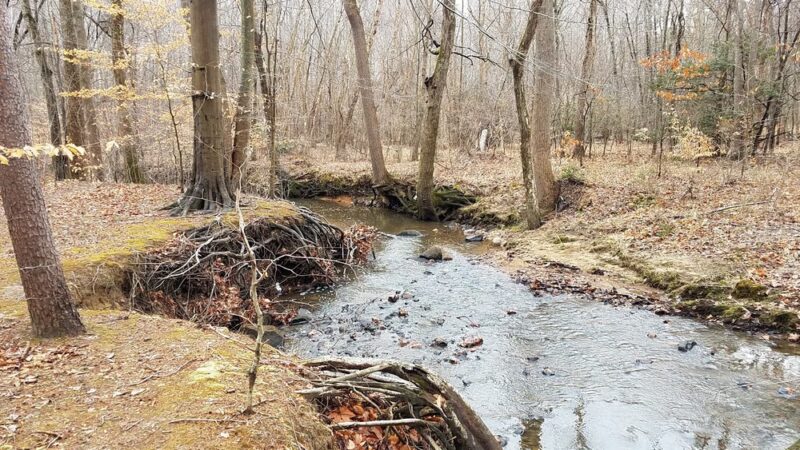 Middle Run Stream Valley Park - Springfield, VA