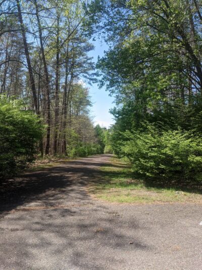 Middle Run Stream Valley Park - Springfield, VA