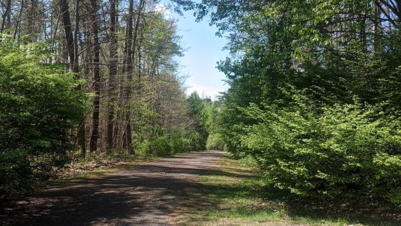 Middle Run Stream Valley Park - Springfield, VA