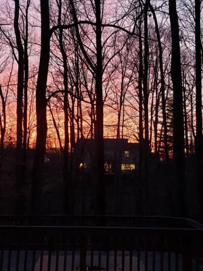 Middle Run Stream Valley Park - Springfield, VA