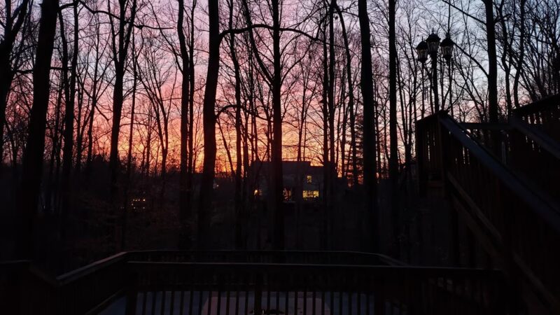 Middle Run Stream Valley Park - Springfield, VA