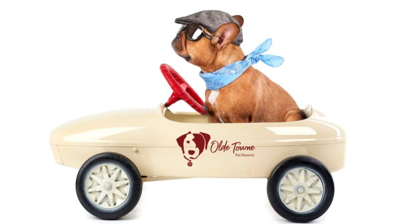 Olde Towne Pet Resort - Springfield, VA