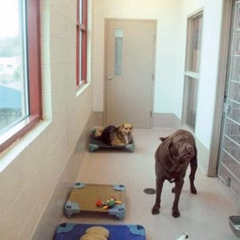 Olde Towne Pet Resort - Springfield, VA
