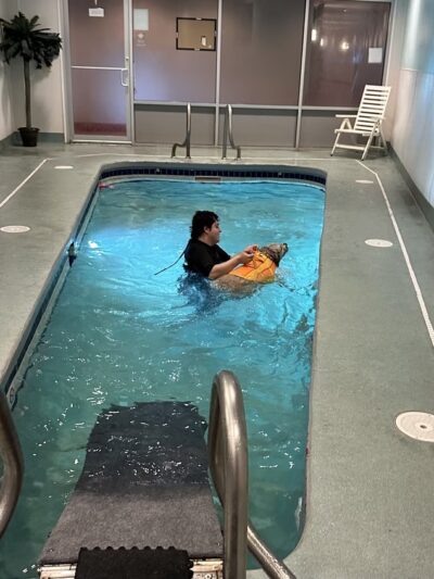 Olde Towne Pet Resort - Springfield, VA