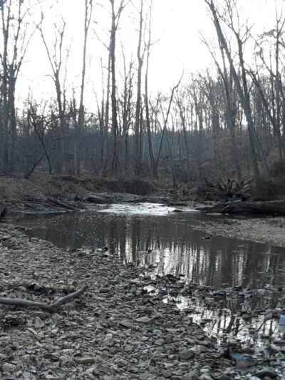 Pohick Creek Stream Valley Park - Springfield, VA