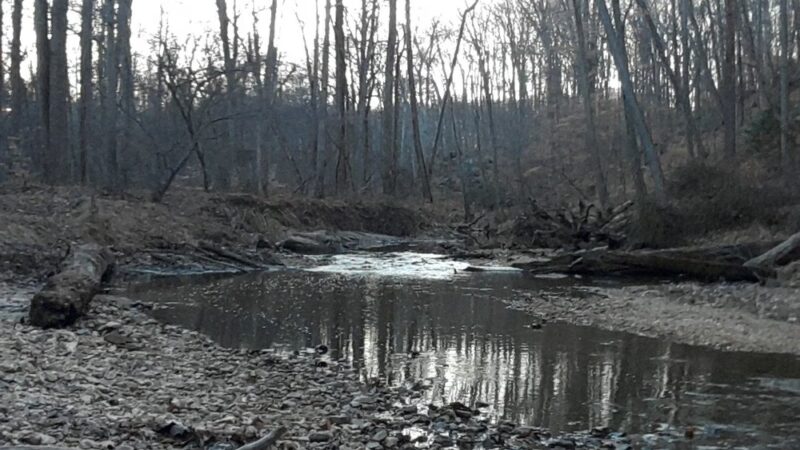 Pohick Creek Stream Valley Park - Springfield, VA