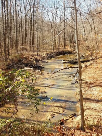 Pohick Creek Stream Valley Park - Springfield, VA