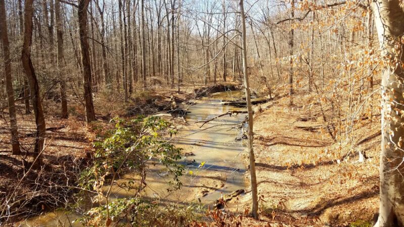 Pohick Creek Stream Valley Park - Springfield, VA