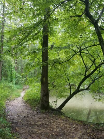 Pohick Creek Stream Valley Park - Springfield, VA