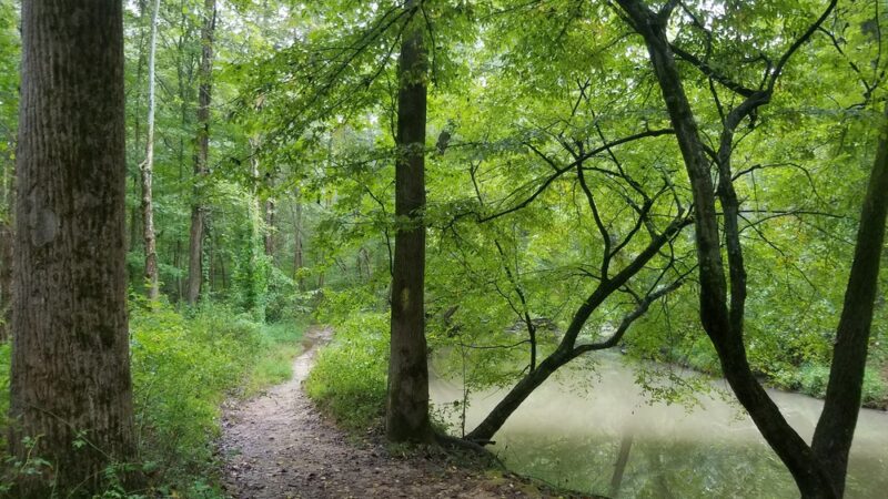 Pohick Creek Stream Valley Park - Springfield, VA