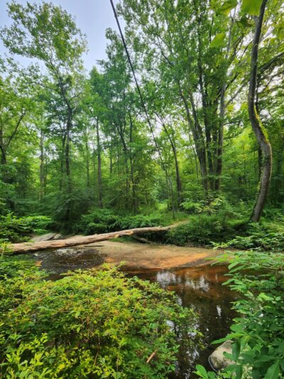 Pohick Creek Stream Valley Park - Springfield, VA