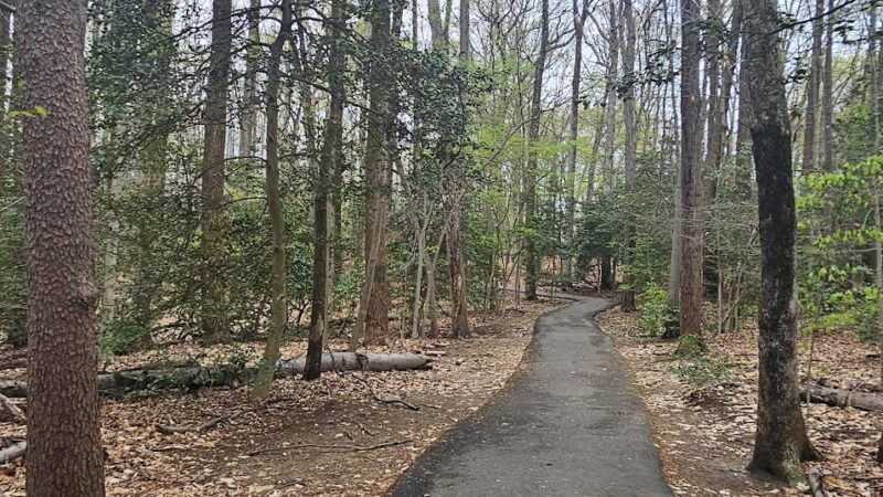 Rollingwood Park - Springfield, VA