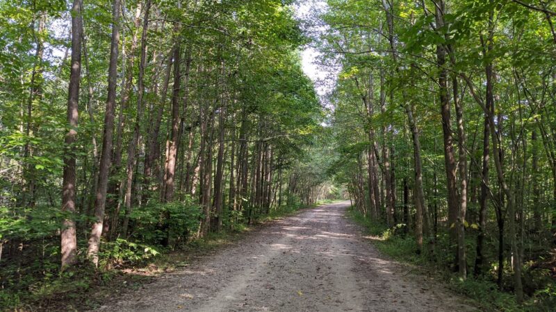 South Run Park - Springfield, VA