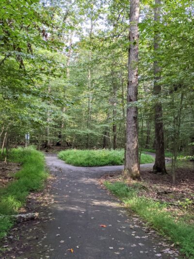 South Run Stream Valley Park - Springfield, VA