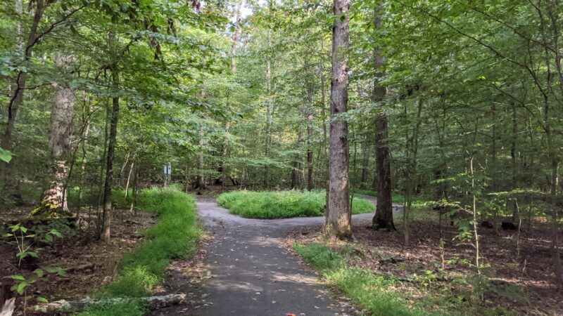 South Run Stream Valley Park - Springfield, VA