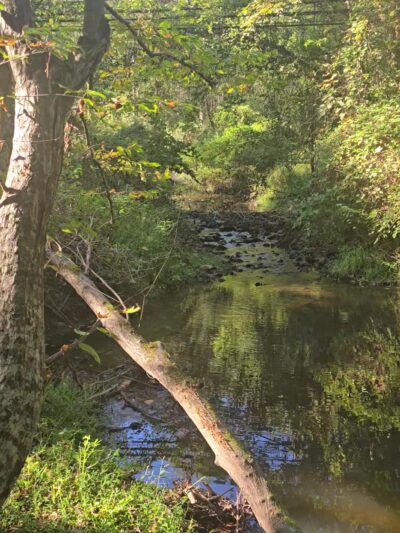 South Run Stream Valley Park - Springfield, VA