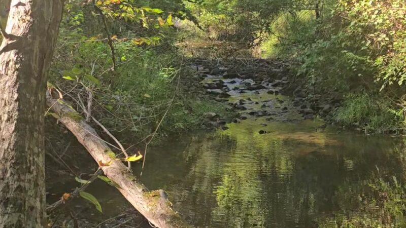 South Run Stream Valley Park - Springfield, VA