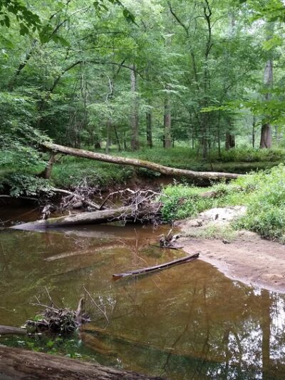 South Run Stream Valley Park - Springfield, VA
