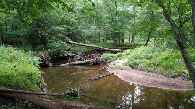 South Run Stream Valley Park - Springfield, VA