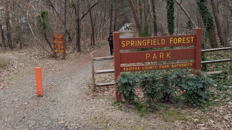Springfield Forest Park - Springfield, VA
