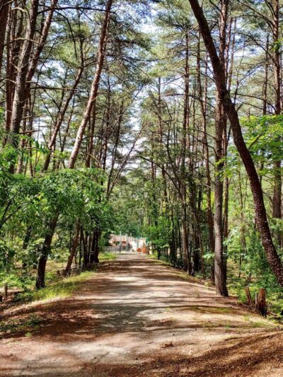 Springfield Forest Park - Springfield, VA