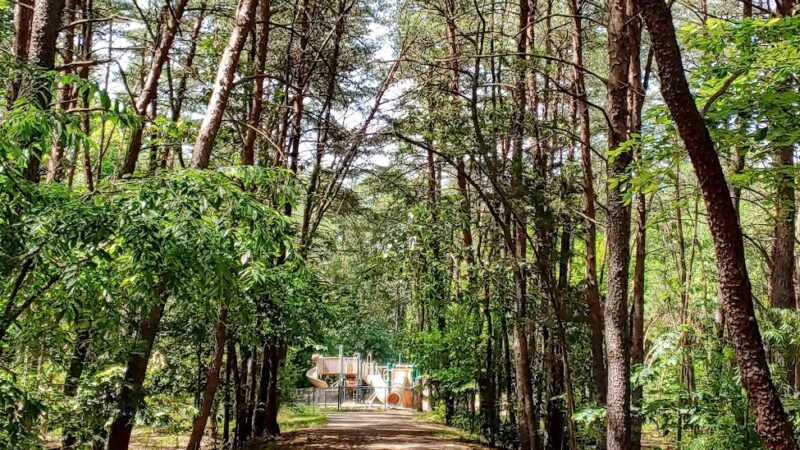 Springfield Forest Park - Springfield, VA