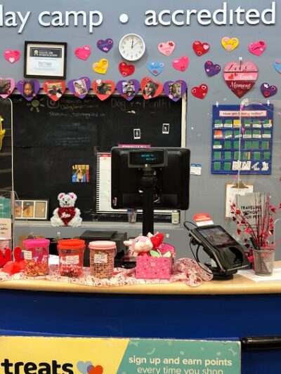 Springfield Petsmart Petshotel - Springfield, VA