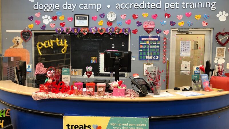 Springfield Petsmart Petshotel - Springfield, VA