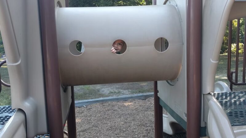 Springvale Park - Springfield, VA