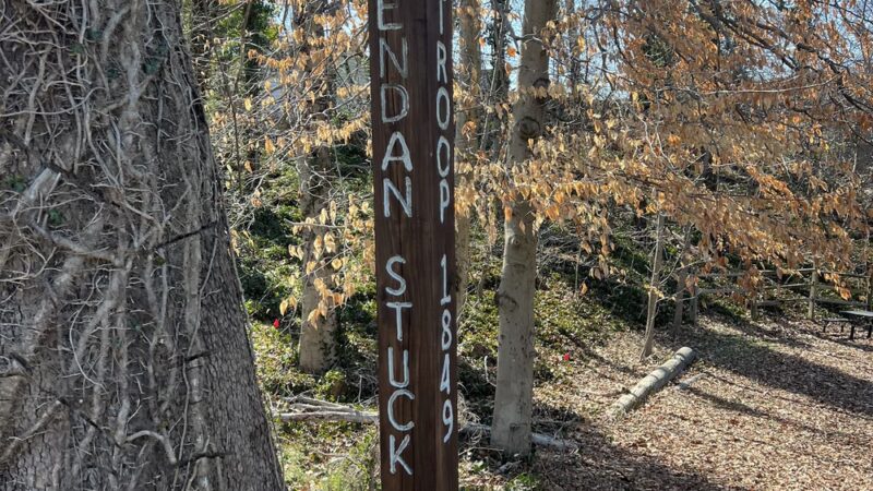 Trailside Park - Springfield, VA