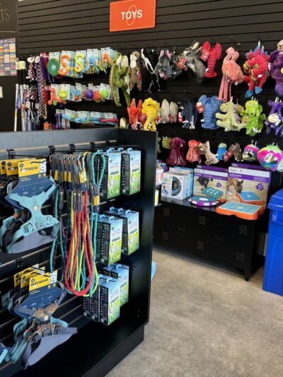 Zoom Room Dog Training - Springfield - Springfield, VA