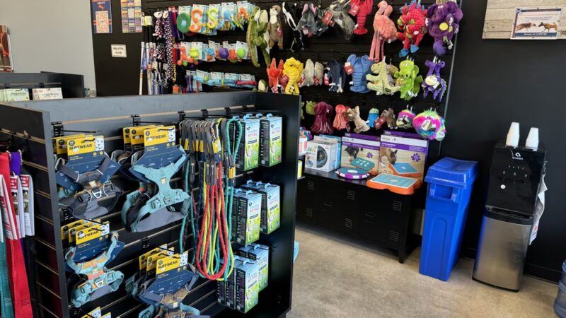 Zoom Room Dog Training - Springfield - Springfield, VA