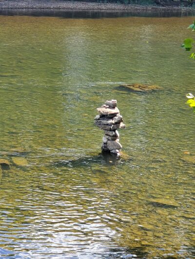 Carry Moose Lot - Springfield, WV