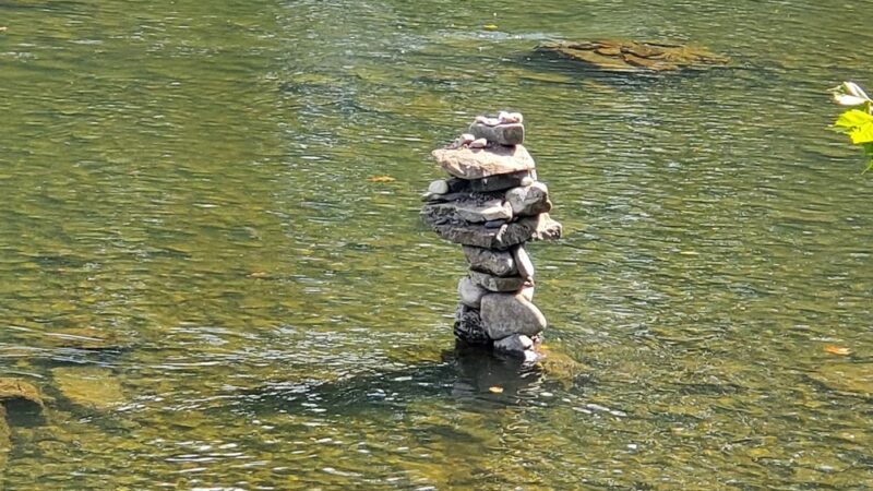 Carry Moose Lot - Springfield, WV