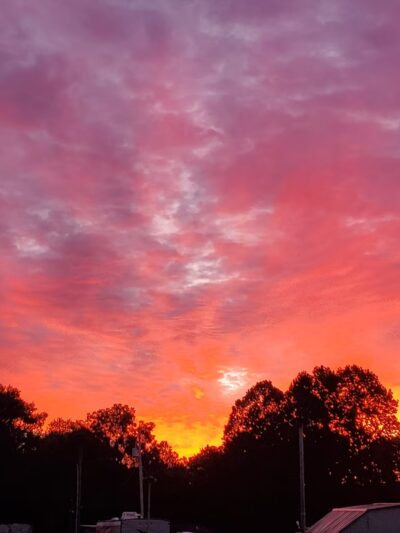 Carry Moose Lot - Springfield, WV