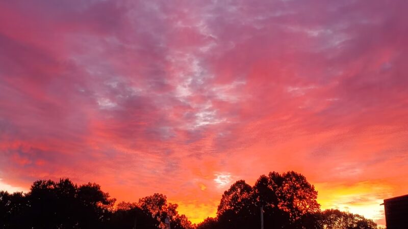 Carry Moose Lot - Springfield, WV