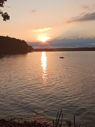 Dog Drive Fishing - Springville, TN