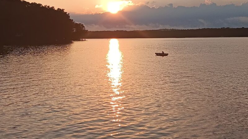 Dog Drive Fishing - Springville, TN